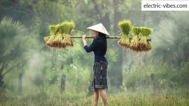 Gaya Hidup Homestead Sedang Tren di Kalangan Gen Z